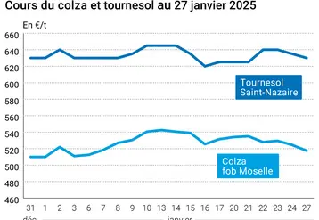 Graphique prix colza tournesol France au 27 janvier 2025