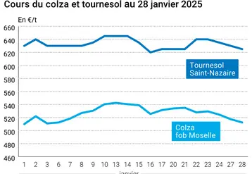 Graphique prix colza tournesol France au 28 janvier 2025