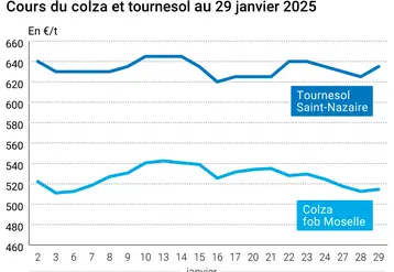 Graphique prix colza tournesol France du 29 janvier 2025