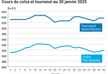 Graphique prix colza tournesol France du 30 janvier 2025