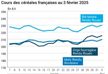 Graphique cours blé orge maïs France au 4 février 2025