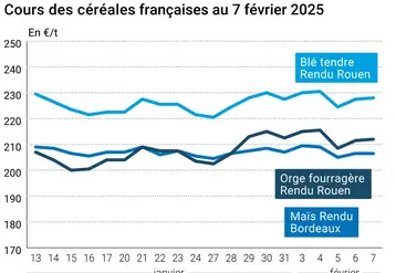 Graphique prix blé orge maïs France du 7 février 2025