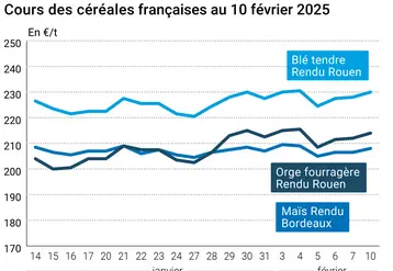 Graphique prix blé orge maïs France du 10 février 2025