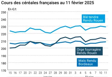 Graphique prix blé orge maïs France au 11 février 2025