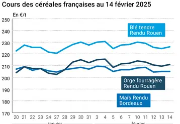 Graphique prix blé orge maïs France du 14 février 2025
