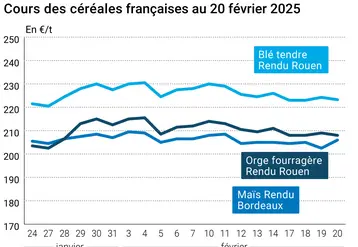 Graphique prix blé orge maïs France du 20 février 2025