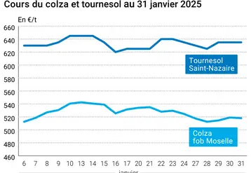 Graphique prix colza tournesol France du 31 janvier 2025