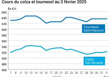 Graphique prix colza tournesol France au 4 février 2025