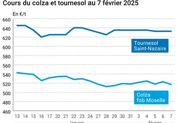 Graphique prix colza tournesol France au 7 février 2025