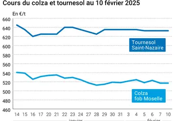 Graphique prix colza tournesol France au 10 février 2025