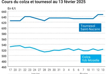 Graphique prix colza tournesol France au 13 février 2025