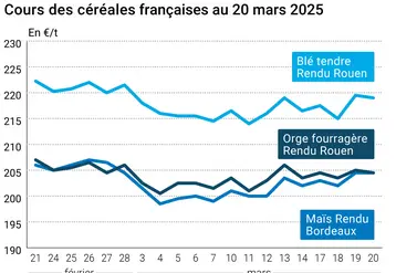 Graphique prix blé orge maïs France du 20 mars 2025