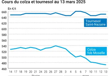 Graphique prix colza tournesol France du 13 mars 2025