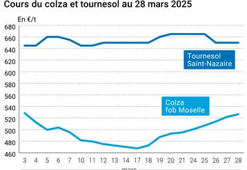 Graphique prix colza tournesol France du 28 mars 2025
