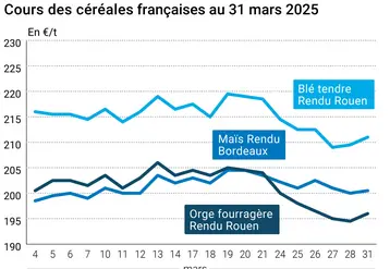 Graphique prix blé orge maïs France du 31 mars 2025