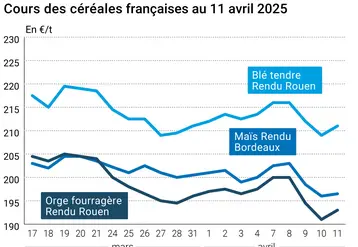 prix du blé tendre rendu Rouen, de l'orge fourragère rendu Rouen et du maïs rendu Bordeaux en juillet août 2024