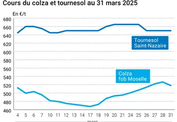 Graphique prix colza tournesol France du 31 mars 2025
