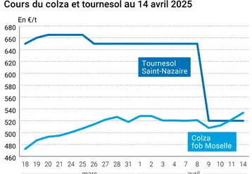 Prix du colza rendu Rouen et du tournesol rendu Saint Nazaire
