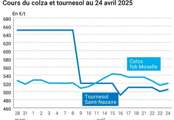 Prix du colza rendu Rouen et du tournesol rendu Saint Nazaire