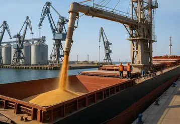 Image d'un chargement de blé sur un cargo dans un port maritime.