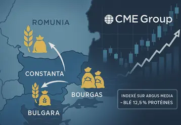 Carte de la mer noire avec des flèches qui représentent les échanges de blé en mer Noire avec un graphique des cours du blé et le logo du CME Group