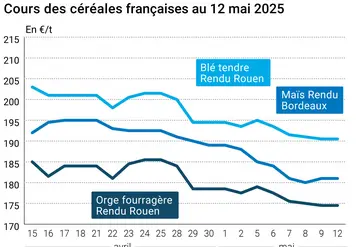 Graphique prix blé orge maïs France du 12 mai 2025