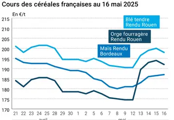 Graphique prix blé orge maïs France du 16 mai 2025