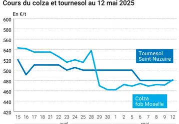 Graphique prix colza tournesol France du 12 mai 2025