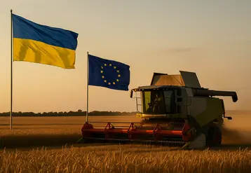 Une moissonneuse batteuse en action pour la moisson 2025 dans un champ de blé avec les drapeaux de l'Ukraine et de l'UE en arrière plan.