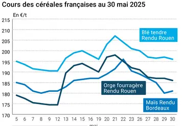 Graphique prix blé orge maïs France du 27 mai 2025