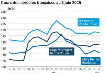 Graphique prix blé orge maïs France du 3 juin 2025