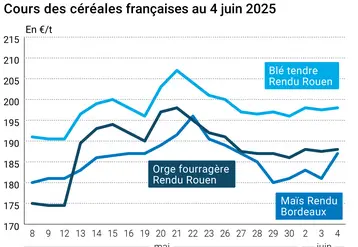 Graphique prix blé orge maïs France du 4 juin 2025
