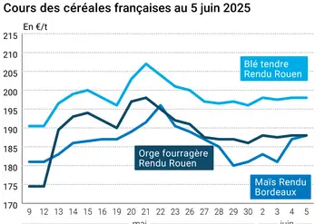Graphique prix blé orge maïs France du 5 juin 2025