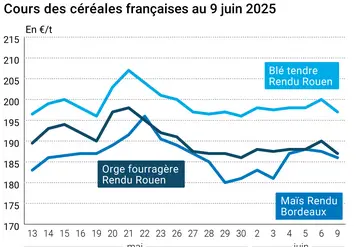 Graphique prix blé orge maïs France au 9 juin 2025
