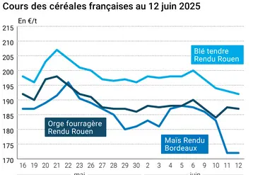 Graphique prix blé orge maïs France au 12 juin 2025