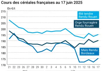 Graphique prix blé orge maïs France au 17 juin 2025