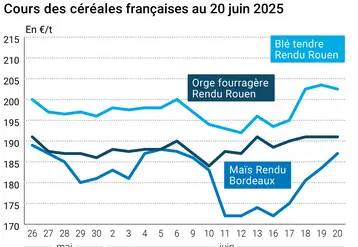 Graphique prix blé orge maïs France du 20 juin 2025