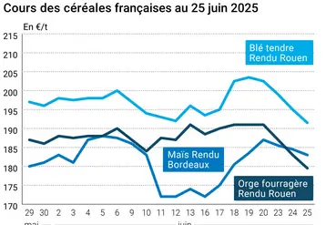 Graphique prix blé orge maïs France du 25 juin 2025