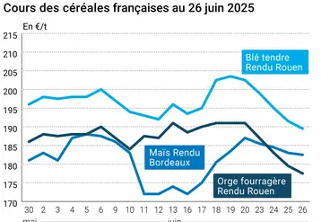 Graphique prix blé orge maïs France du 26 juin 2025