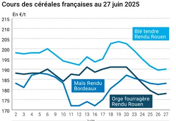 Graphique prix blé orge maïs France du 27 juin 2025
