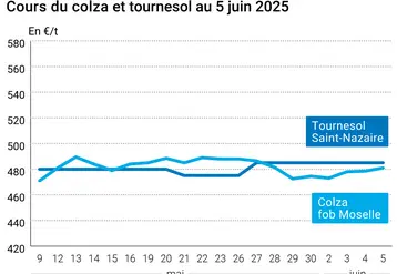 Graphique prix colza tournesol France du 5 juin 2025