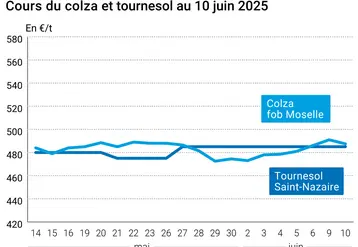 graphique prix colza tournesol France au 10 juin 2025