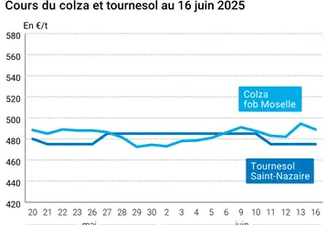 Graphique prix colza tournesol France au 16 juin 2025