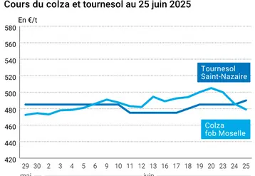 Graphique prix colza tournesol France du 25 juin 2025