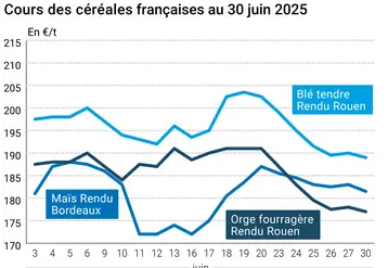 Graphique prix blé orge maïs France du 30 juin 2025