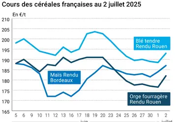 Graphique prix colza tournesol France du 3 juillet 2025