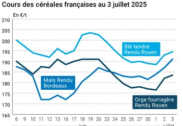 Graphique prix blé orge maïs France du 3 juillet 2025