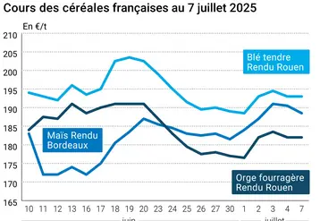 Graphique prix blé orge maïs France du 7 juillet 2025