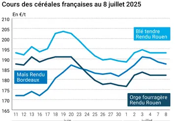 Graphique prix blé orge maïs France du 8 juillet 2025