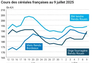 Graphique prix blé orge maïs France au 9 juillet 2025